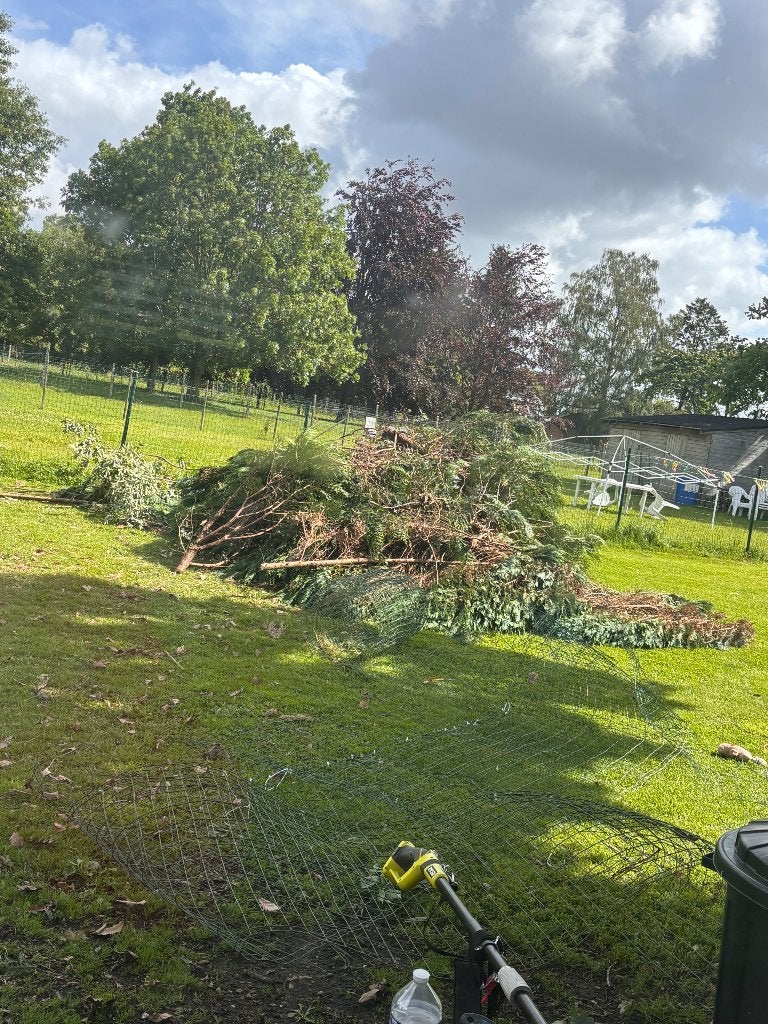 5m3 de sapin à donner, Divers, Divers Autre, Enlèvement, Utilisé