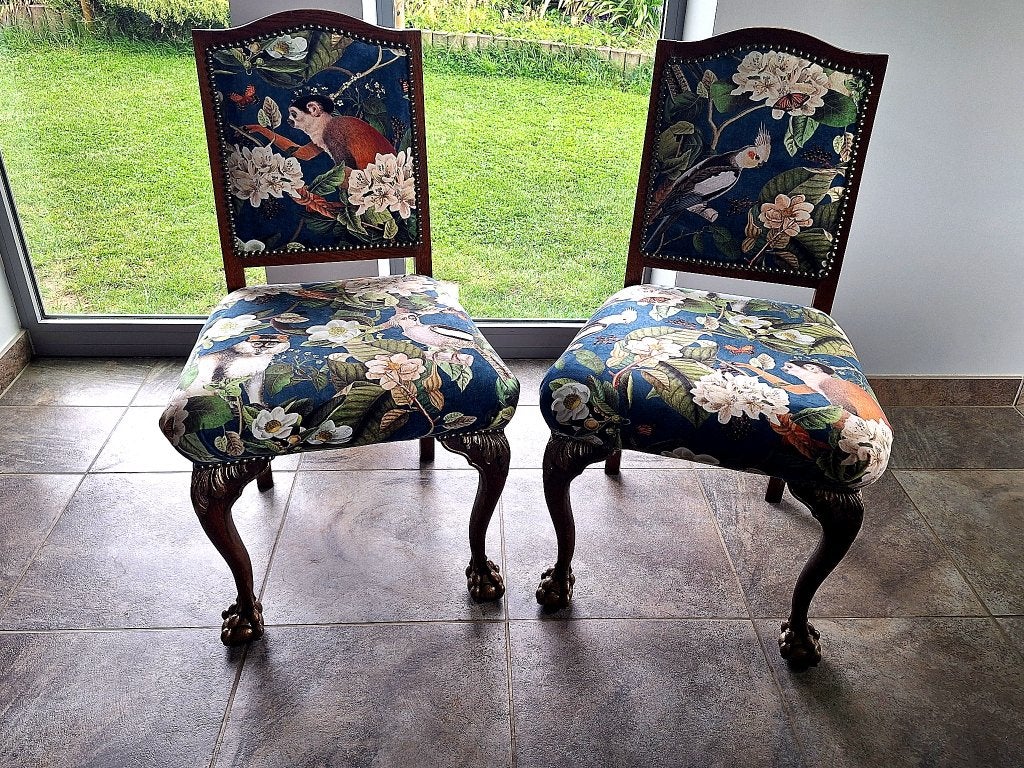 Ensemble de chaises à griffes anciennes - velours exotique, Enlèvement ou Envoi