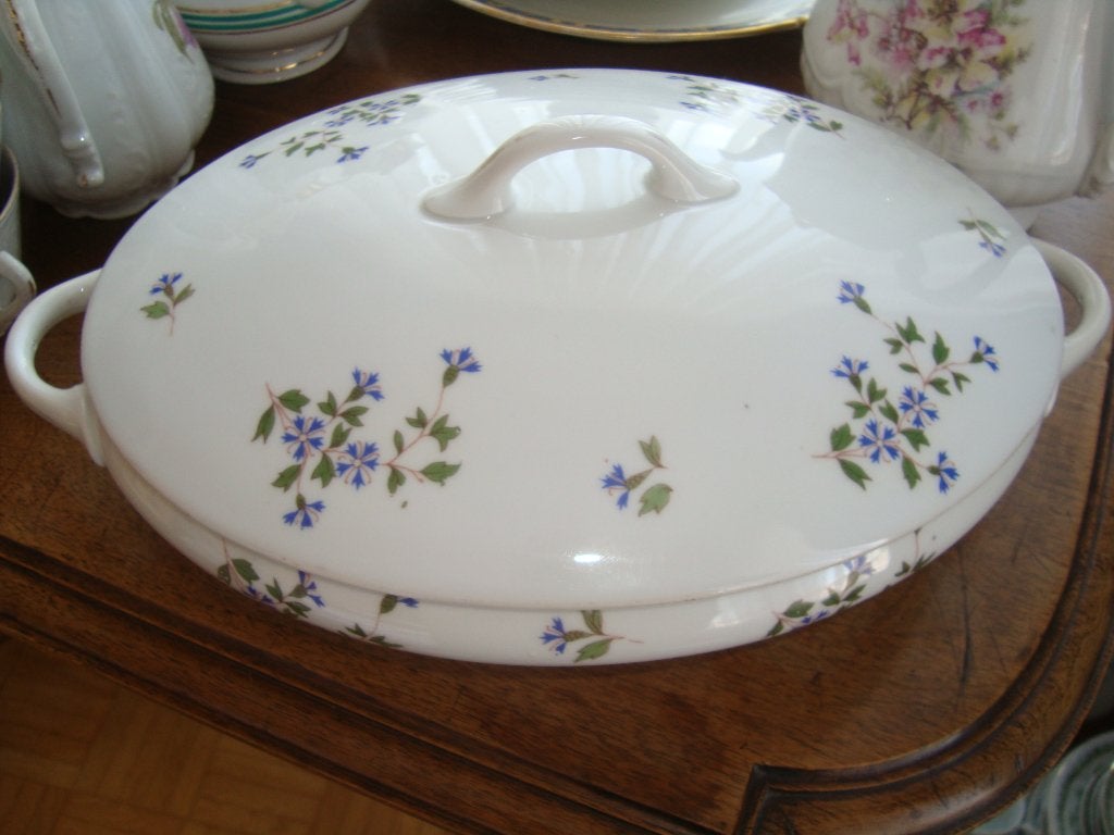 Terrine en porcelaine de Bohême. Epiag Royal., Enlèvement