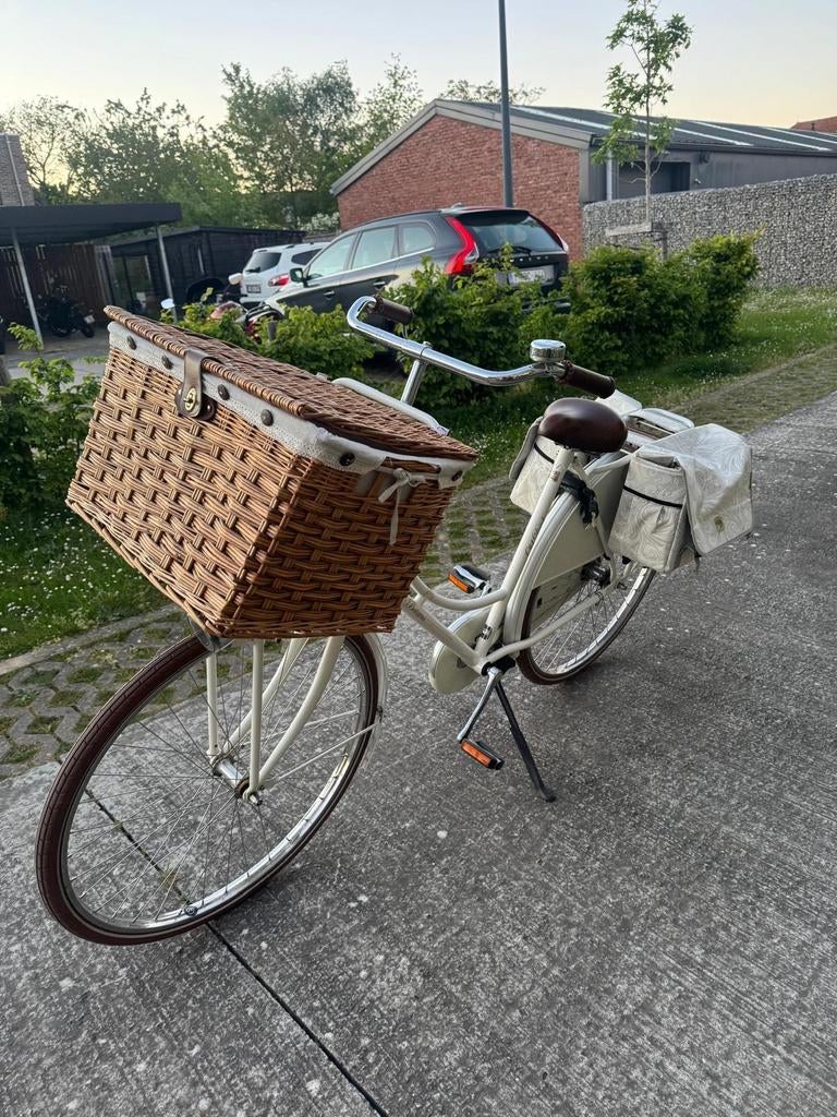Damesfiets, Ophalen, Terugtraprem, (Extra) lage instap, Batavus