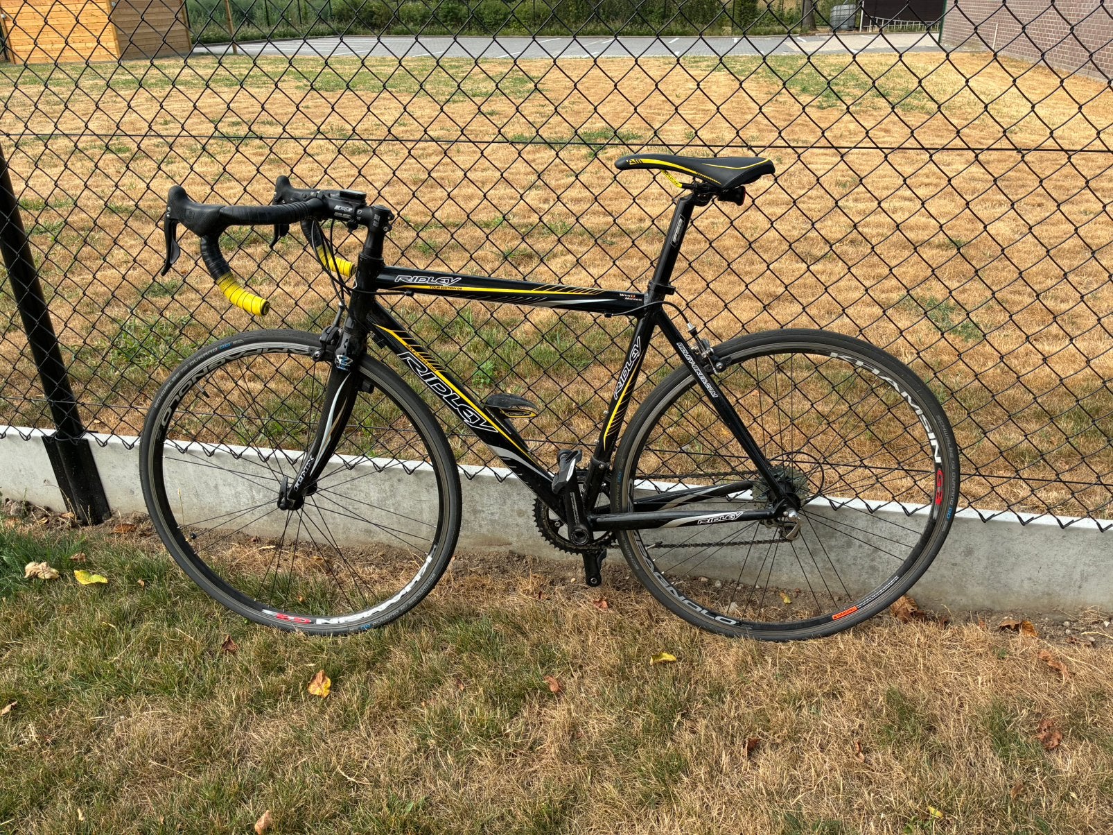 Ridley racefiets Tour edition 08, 51 tot 55 cm, Ophalen, Velgrem
