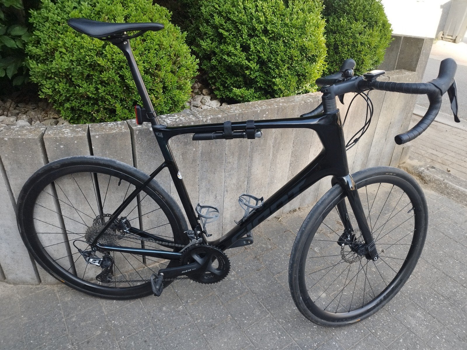 Giant Defy Advanced XL, Giant