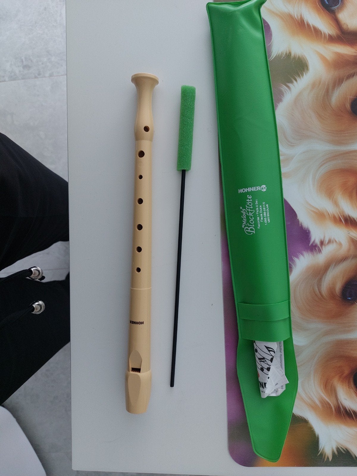 hohner blokfluit, Muziek en Instrumenten, Ophalen of Verzenden