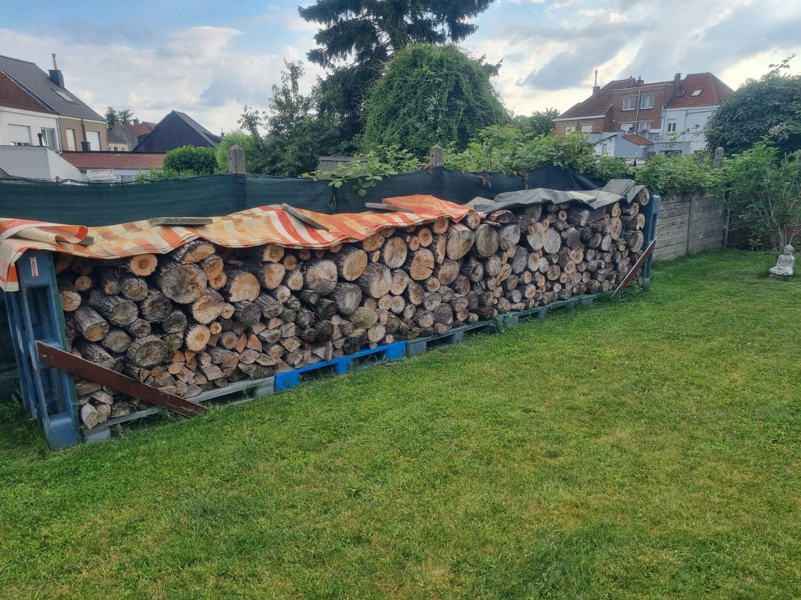 GRATIS BRANDHOUT POPULIER, Ophalen