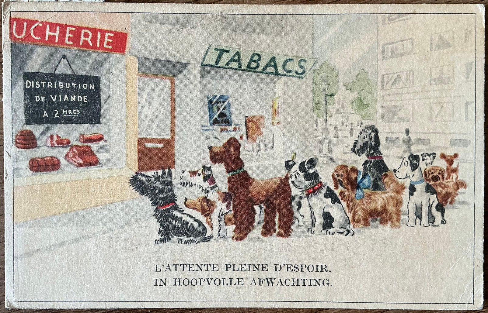 Carte postale ancienne TABACS/BOUCHERIE, Enlèvement ou Envoi, 1940 à 1960, Affranchie, Autres thèmes