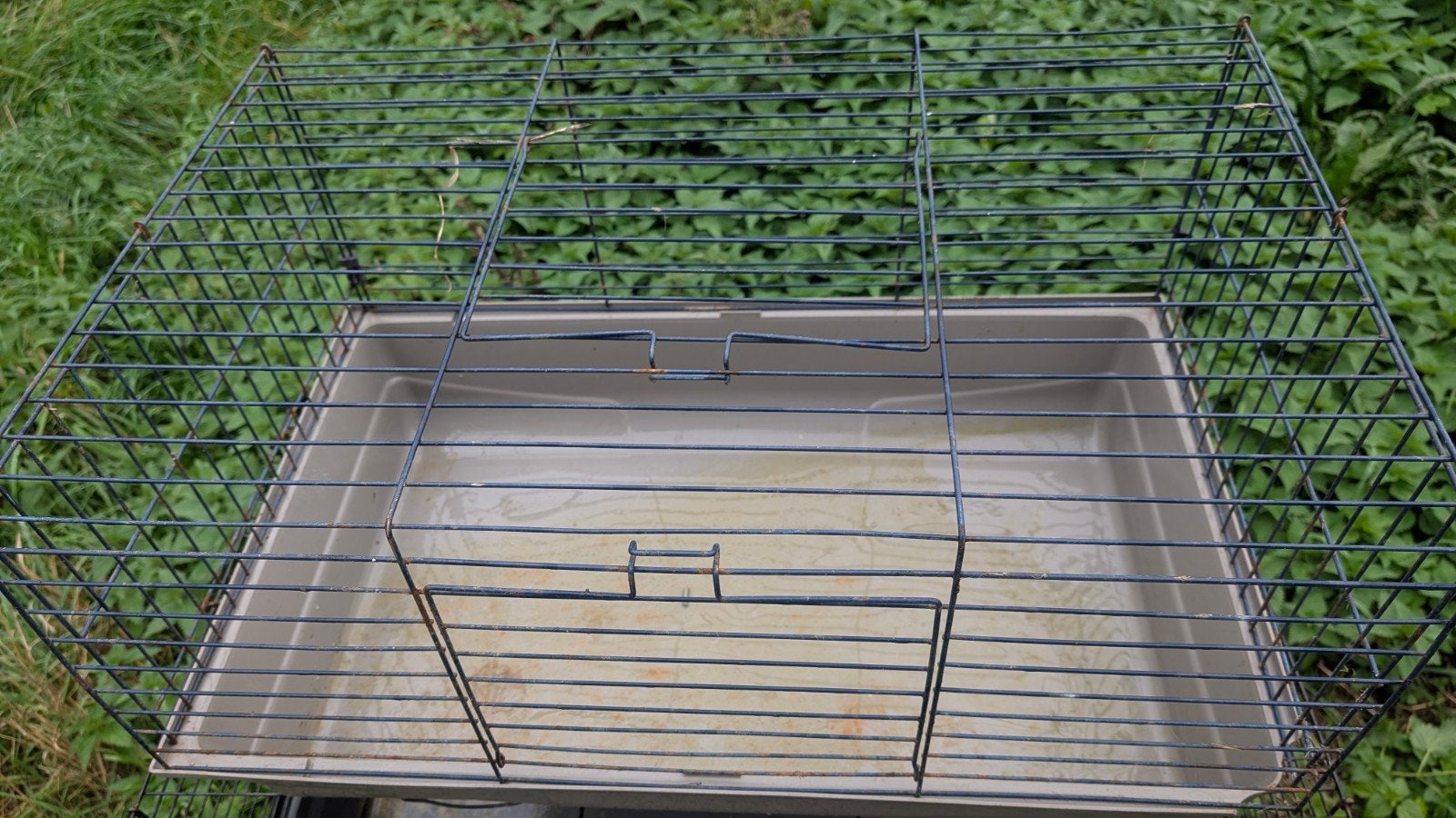 cage pour lapin, Enlèvement, Cage, Lapin