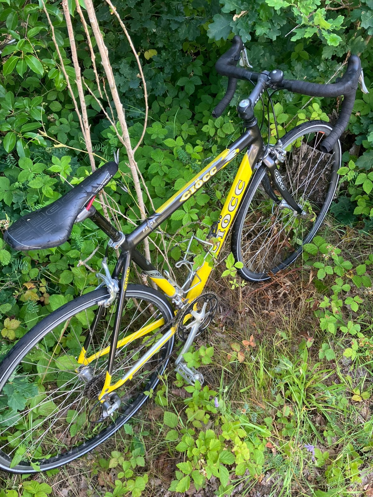 Ciocco Pryde Campagnolo, Vélos & Vélomoteurs, Frein sur jante, 49 à 53 cm, Aluminium, Enlèvement