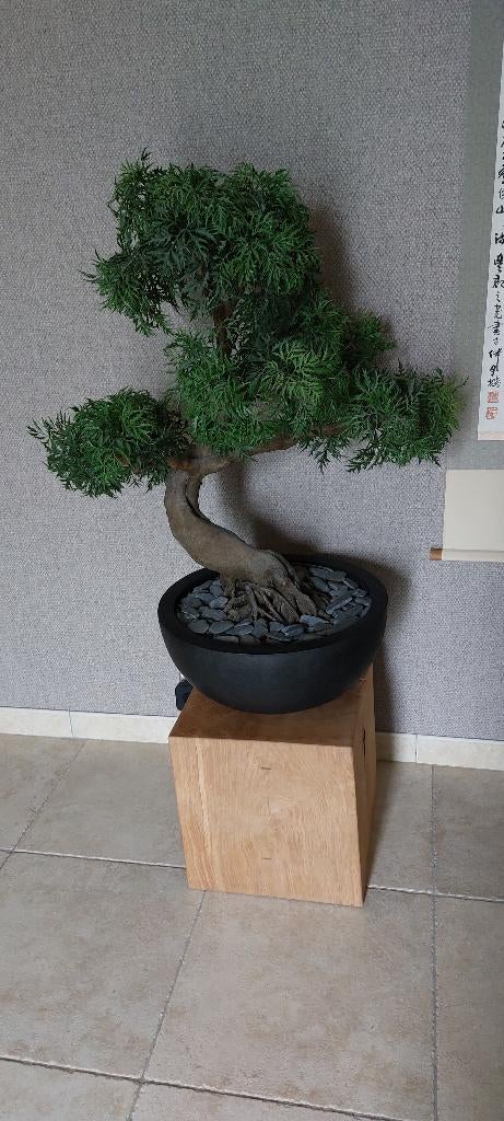 kunstboom bonsai, Tuin en Terras, Planten | Bomen, Ophalen, Bloeit niet, Overige soorten, Minder dan 100 cm