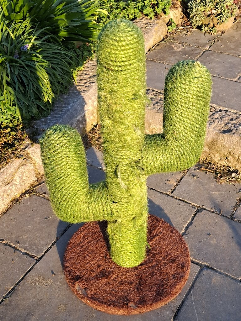 Griffoir Moowi Cactus pour chat 70 cm marron/vert, Enlèvement, Utilisé, Griffoir