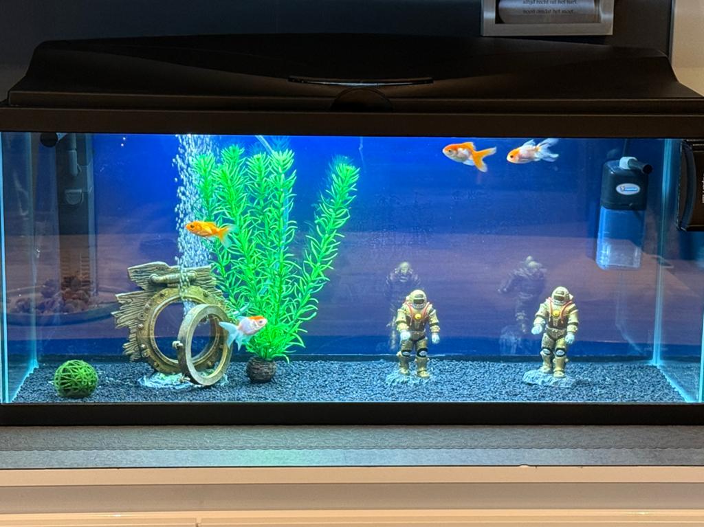 Ciano 80 LED CF80 | 74L aquarium, Enlèvement, Chauffage, Comme neuf