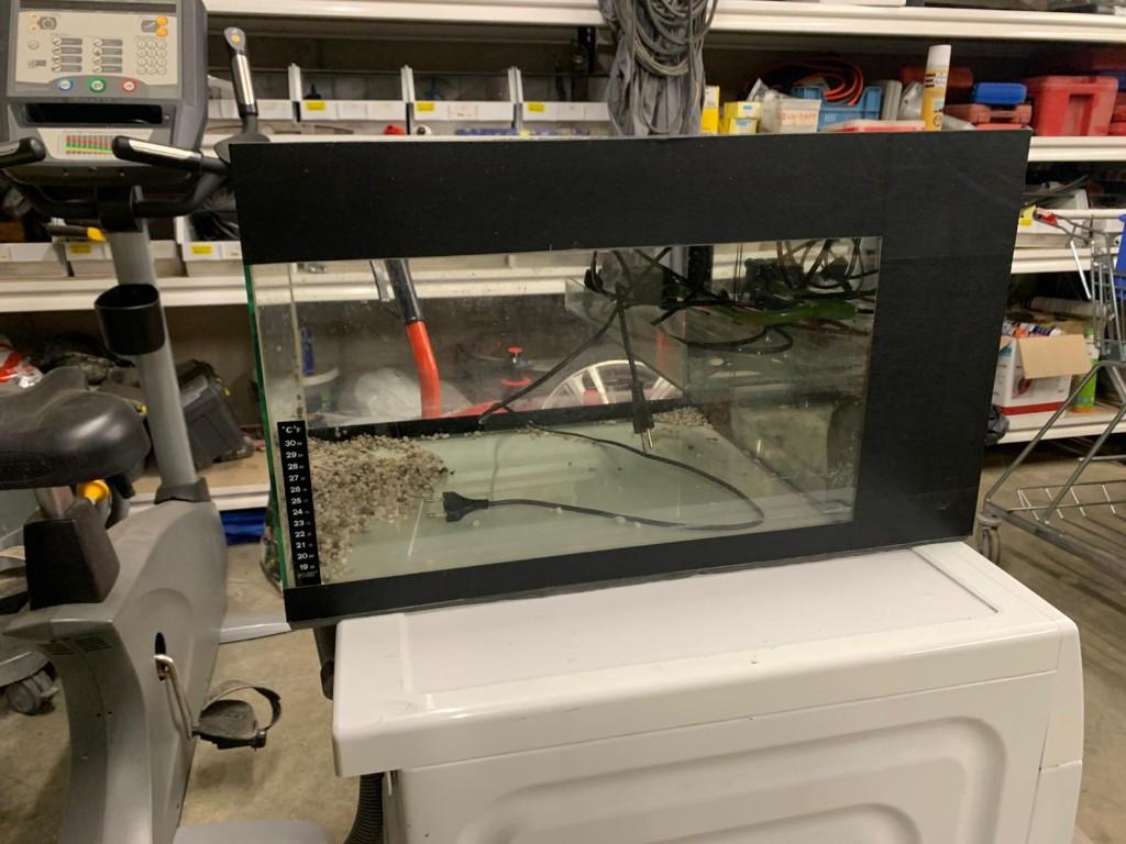 Schildpaddenbak, Dieren en Toebehoren, Ophalen, Gebruikt, Terrarium of Paludarium