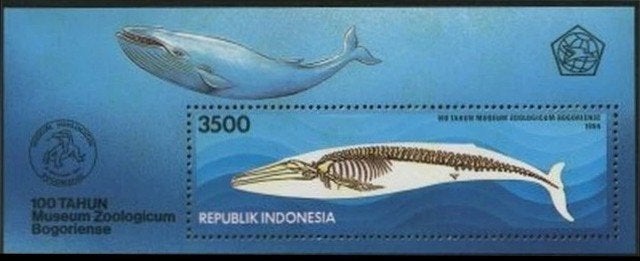 INDONESIË 1994 Walvis Blokje, Michel: B-97, Postfris., Verzenden, Postfris, Dier of Natuur