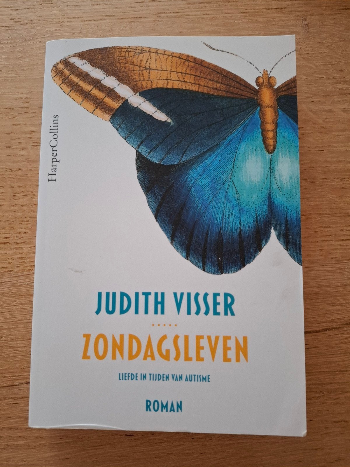 Judith Visser - Zondagsleven, Boeken, Ophalen, Judith Visser
