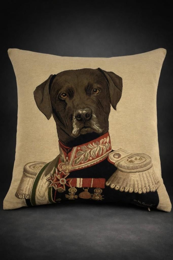 Housse de coussin Baron Labrador Thierry Poncelet, Enlèvement ou Envoi, Comme neuf, Autres couleurs, Carré