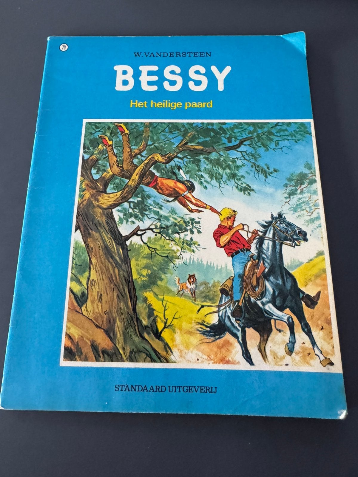 Lot van 7 oude Bessy strips 1971-73 Studio Vandersteen, Boeken, Stripverhalen, Meerdere stripboeken, Ophalen of Verzenden, Gelezen