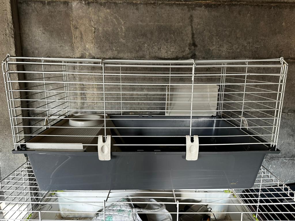 Cavia/konijnenkooi, Dieren en Toebehoren, Ophalen, Zo goed als nieuw