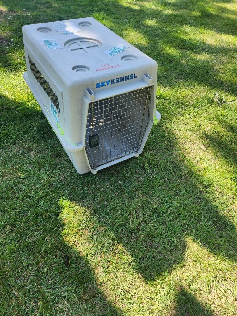 Xl bench sky kennel,in goede staat, Dieren en Toebehoren, Ophalen