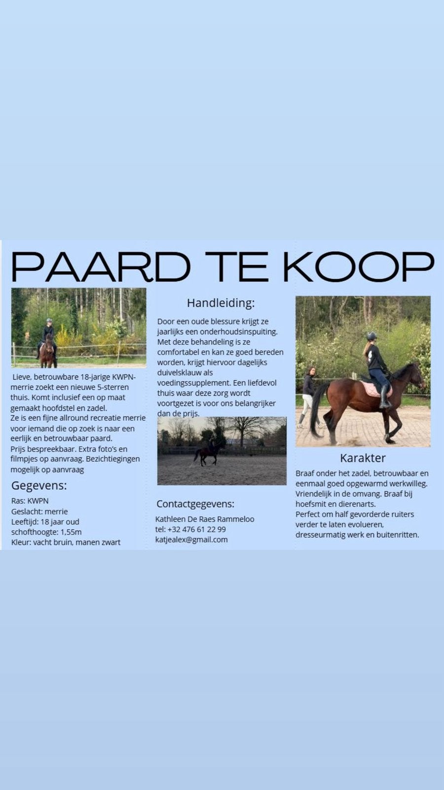 18 jarige Kwpn merrie te koop, Animaux & Accessoires, Chevaux, Cheval de dressage, Moins de 160 cm, Ne s'applique pas, Jument