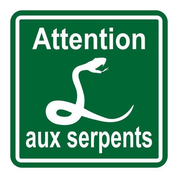 Homme cherche belle complicité !