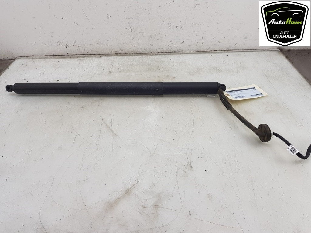 ACHTERKLEP MOTOR Tesla Model Y (5YJY) (01-2019/01-2025), Germany_Sales@tesla.com, Gebruikt, Achterklep, Overige automerken