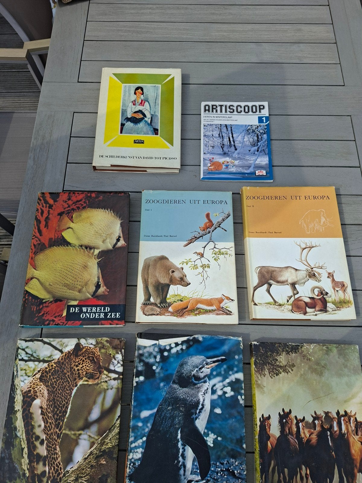 artis historia boeken dieren en kunst, Boeken, Prentenboeken en Plaatjesalbums, Ophalen, Gelezen