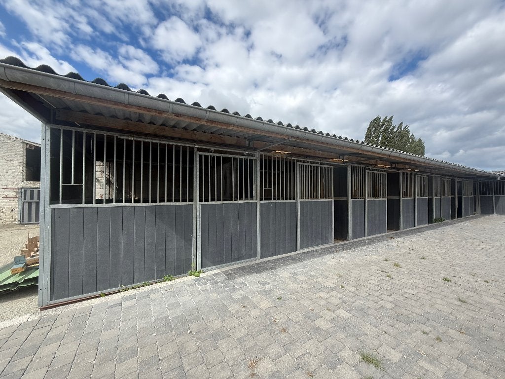 10 boxes à chevaux à vendre, avec toit, Animaux & Accessoires, Mise à l'étable