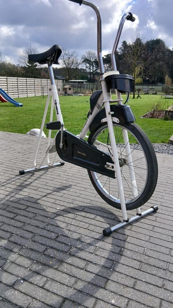 Vintage hometrainer, Fietsen en Brommers, Fietsen | Dames | Damesfietsen, Ophalen
