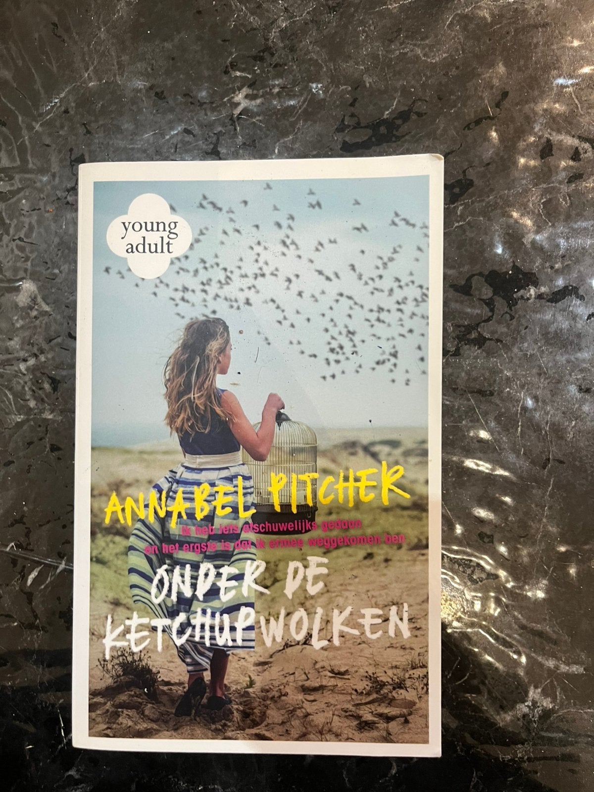 Onder de ketchup wolken, Boeken, Reisverhalen, Ophalen of Verzenden, Zo goed als nieuw, Benelux