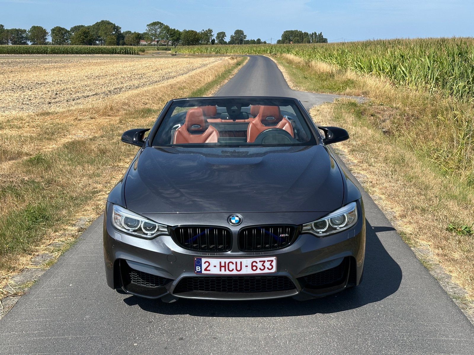 BMW M4 (F83) Cabrio, Cuir, Argent ou Gris, Achat, 2 portes