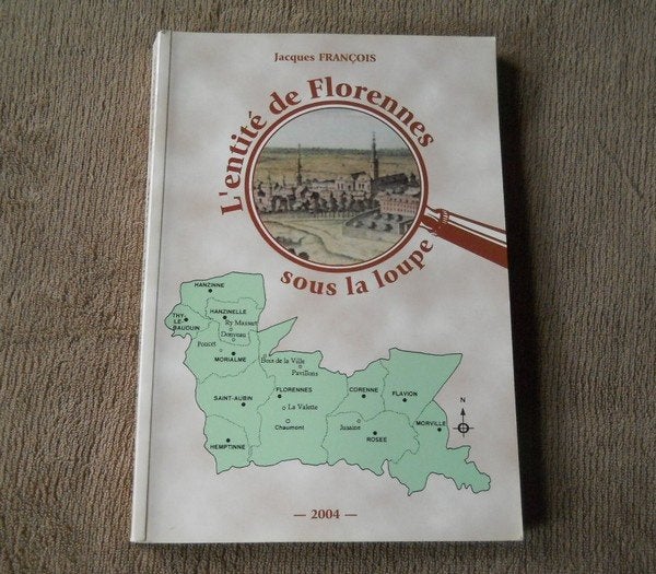 Entité de Florennes sous la loupe - Rosée Flavion Morville, Boeken, Geschiedenis | Nationaal, Ophalen of Verzenden, Gelezen