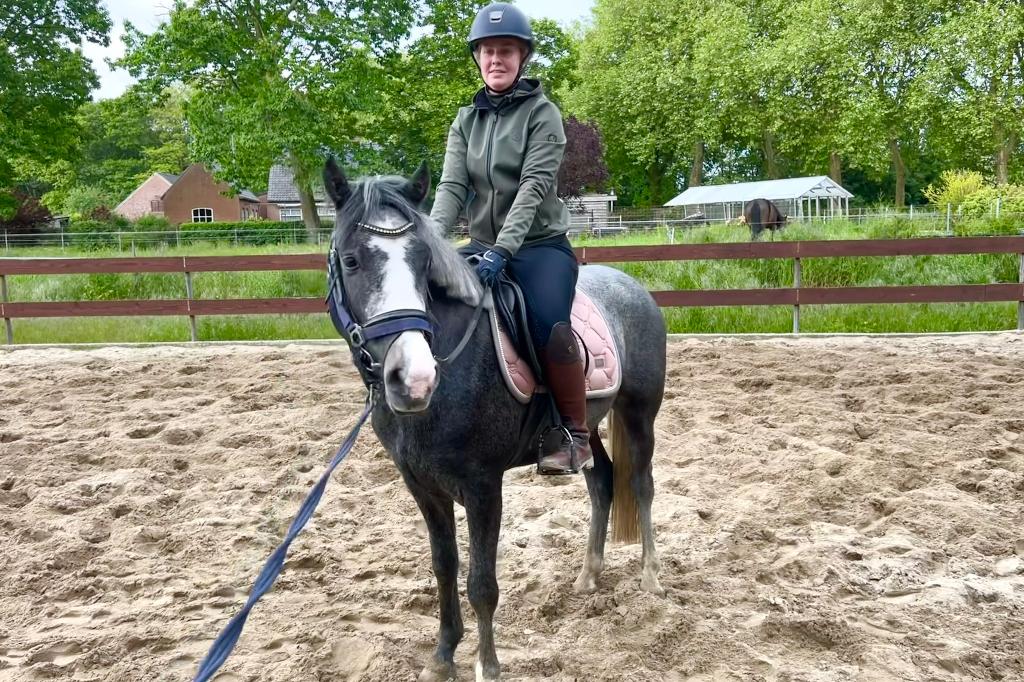 Brave 3 jarige D-pony ruin 1.46m licht zadelmak springpony, Dieren en Toebehoren, Pony's, Ruin, Zadelmak, D pony (1.37m tot 1.48m)