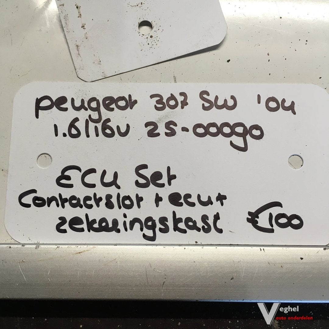 Peugeot 307 sw  2004  1.6 16v 2500090  Ecu  96 574 998 80 se, Auto-onderdelen, Gebruikt, -, -, Ophalen of Verzenden