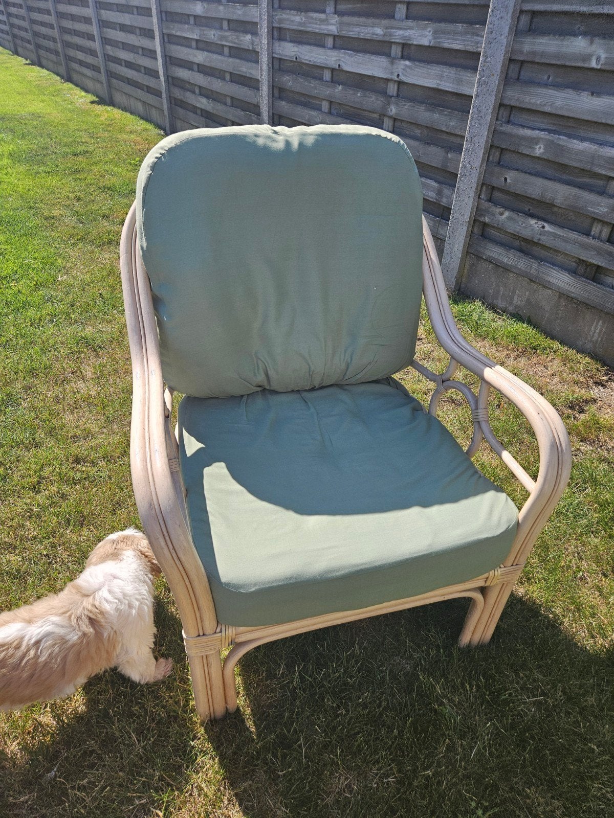 Stoelen/zeteltjes, Huis en Inrichting, Stoelen, Ophalen, Gebruikt, Riet of Rotan, Vier