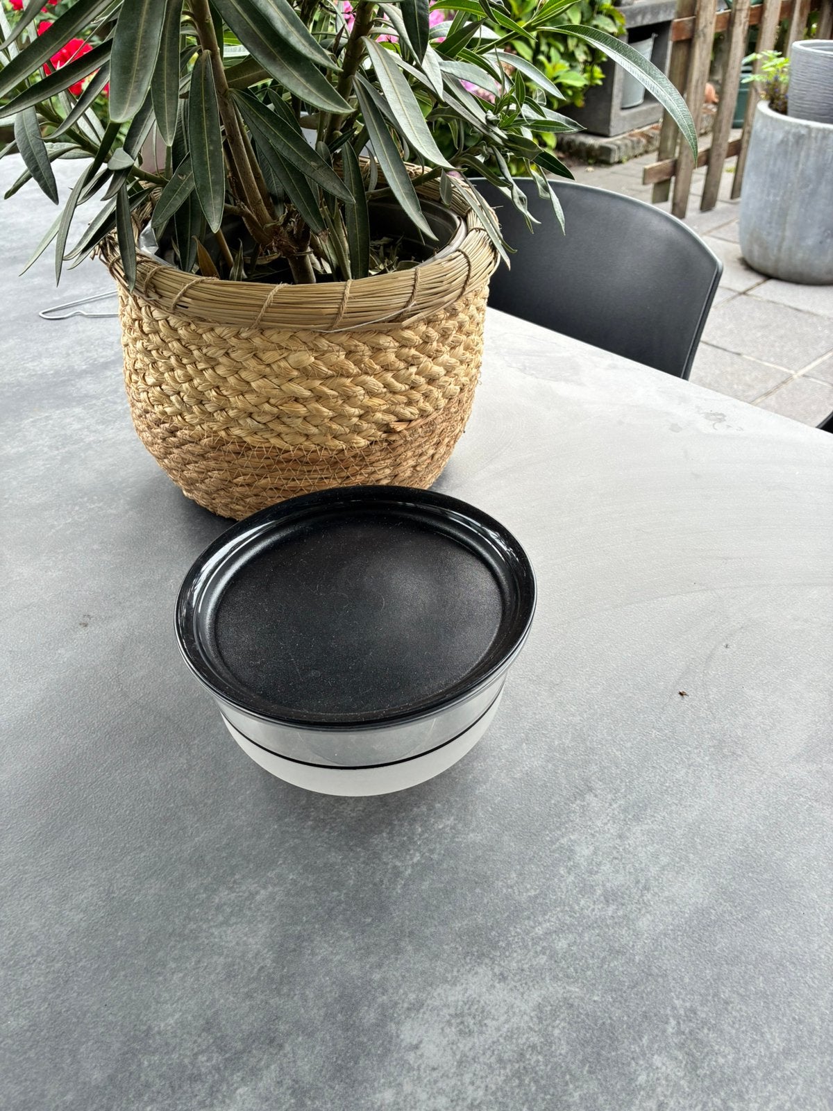 Tupperware pitje met zwart deksel, Ophalen of Verzenden, Zo goed als nieuw