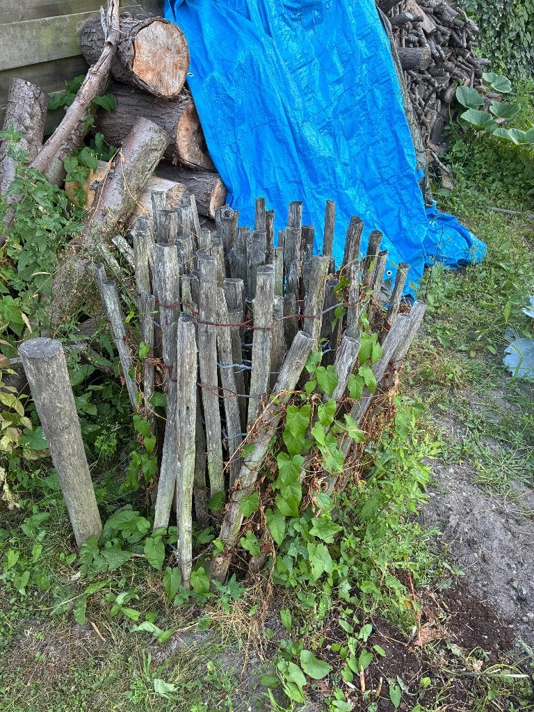 Kastanjehek 75cm, Ophalen, Gebruikt, Hout, Tuinhek