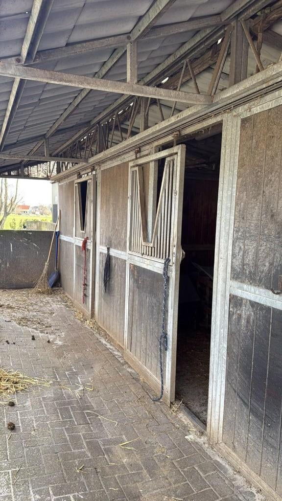 Buitenstal 3 boxen (3x3 m) + ruim overstek – zware kwaliteit, Pâturage, 4 chevaux ou poneys ou plus