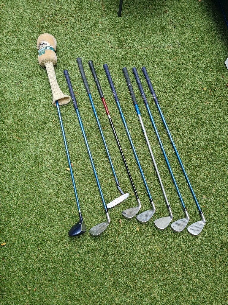 golfclubs set + draagtas, Enlèvement, Utilisé, Club, Autres marques