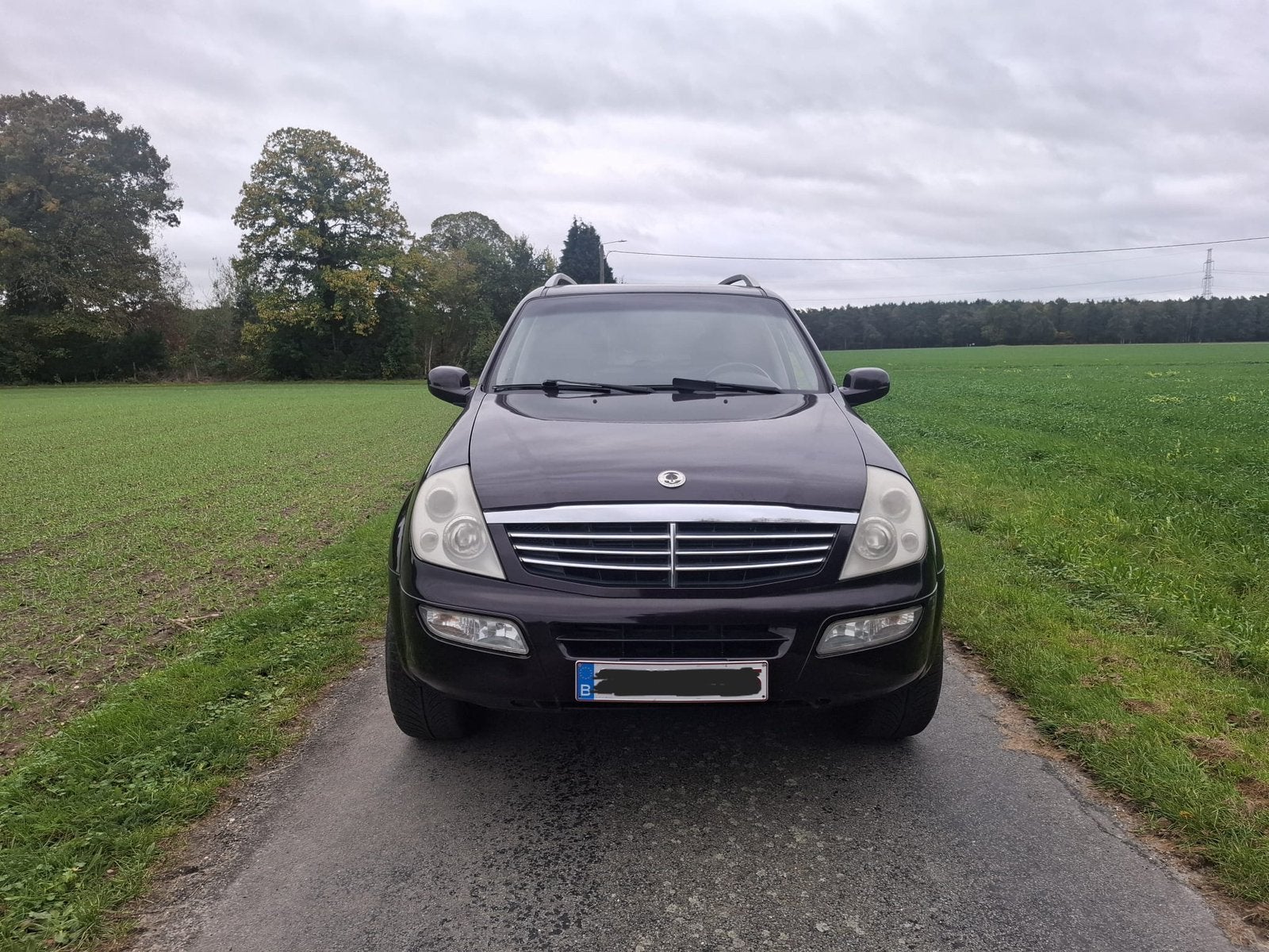 Ssangyong Rexton 2.7 xdi - 4x4 lichte vracht gekeurd verkoop, Auto's, Dealer onderhouden, Achterwielaandrijving, Zwart, Bruin