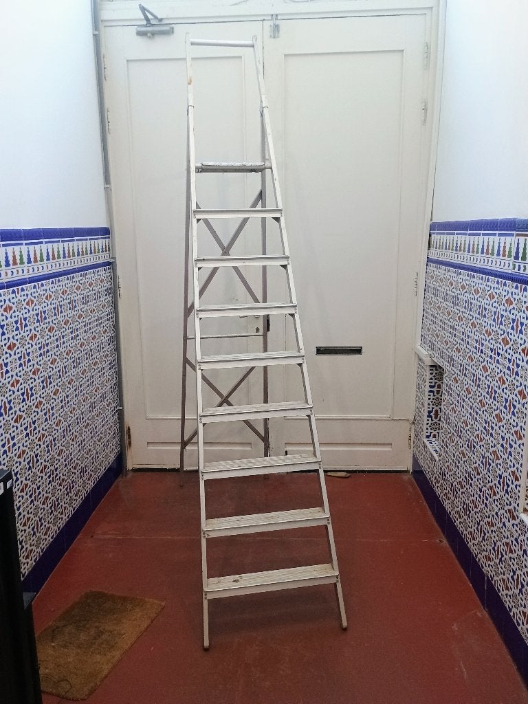 ALUMINIUM LADDER MET 9 TREDEN, Doe-het-zelf en Bouw, Ladders en Trappen, Ophalen, Gebruikt