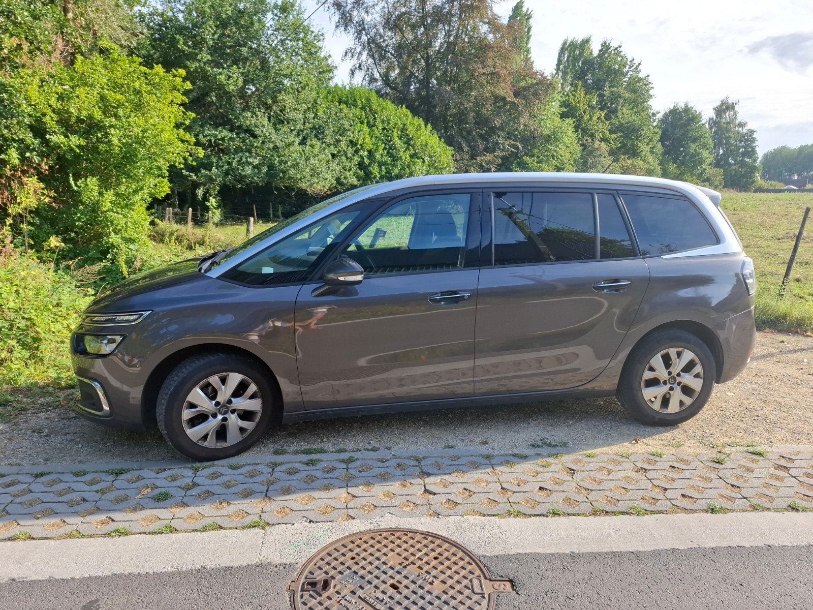 Citroën C4 Picasso, option complète, 7 places, Achat, 7 places, Noir, 5 portes