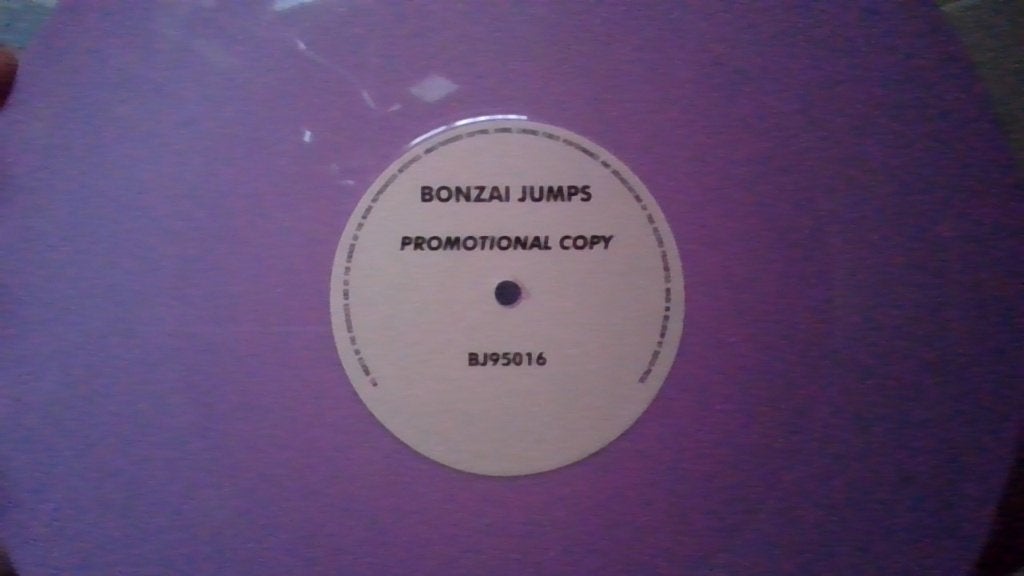 PROMOTION DE BONSAÏ SAUTS (BJ 95016), 12 pouces, Enlèvement ou Envoi, Pressage original, Comme neuf