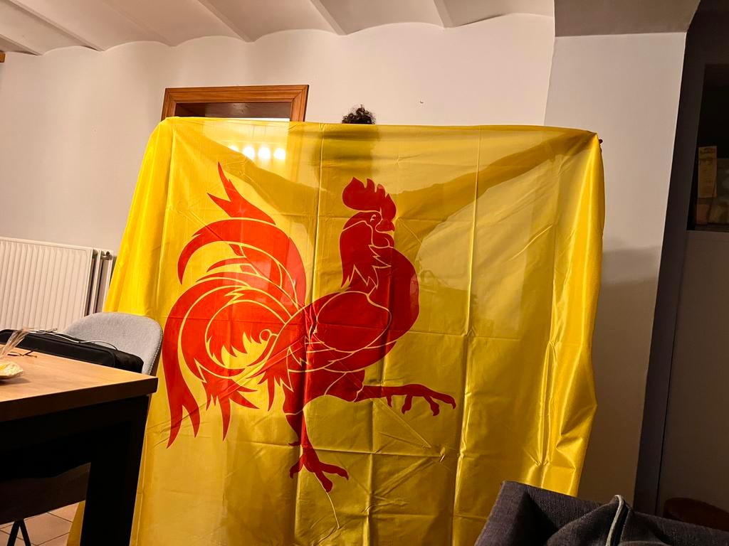 Drapeau Wallon 2m x 1,40m, Enlèvement, Comme neuf