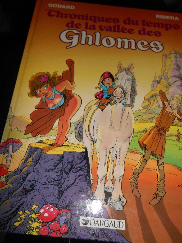 Chroniques du temps de la vallée des Ghlomes 1 eo, Livres, BD, Enlèvement ou Envoi