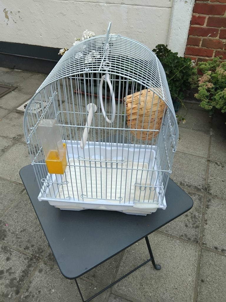 cage pour mandarin, Enlèvement, Neuf