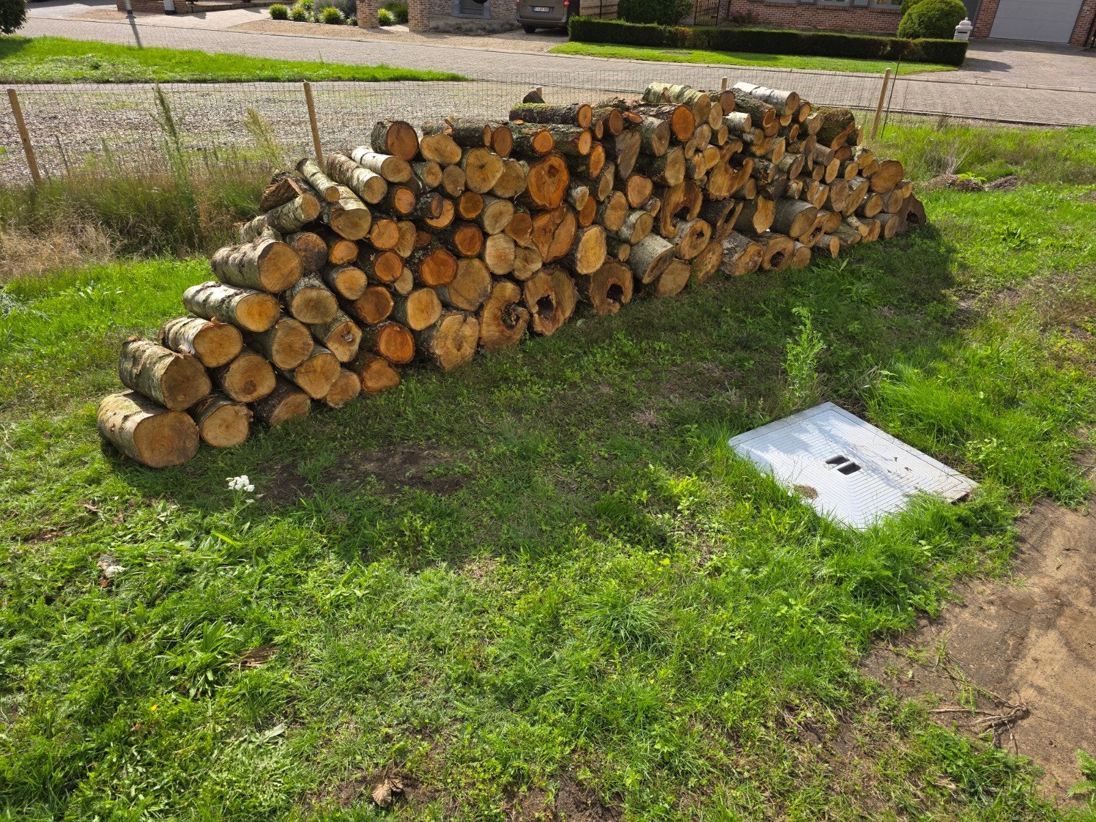 partij hout, Ophalen, Berkenhout, Blokken