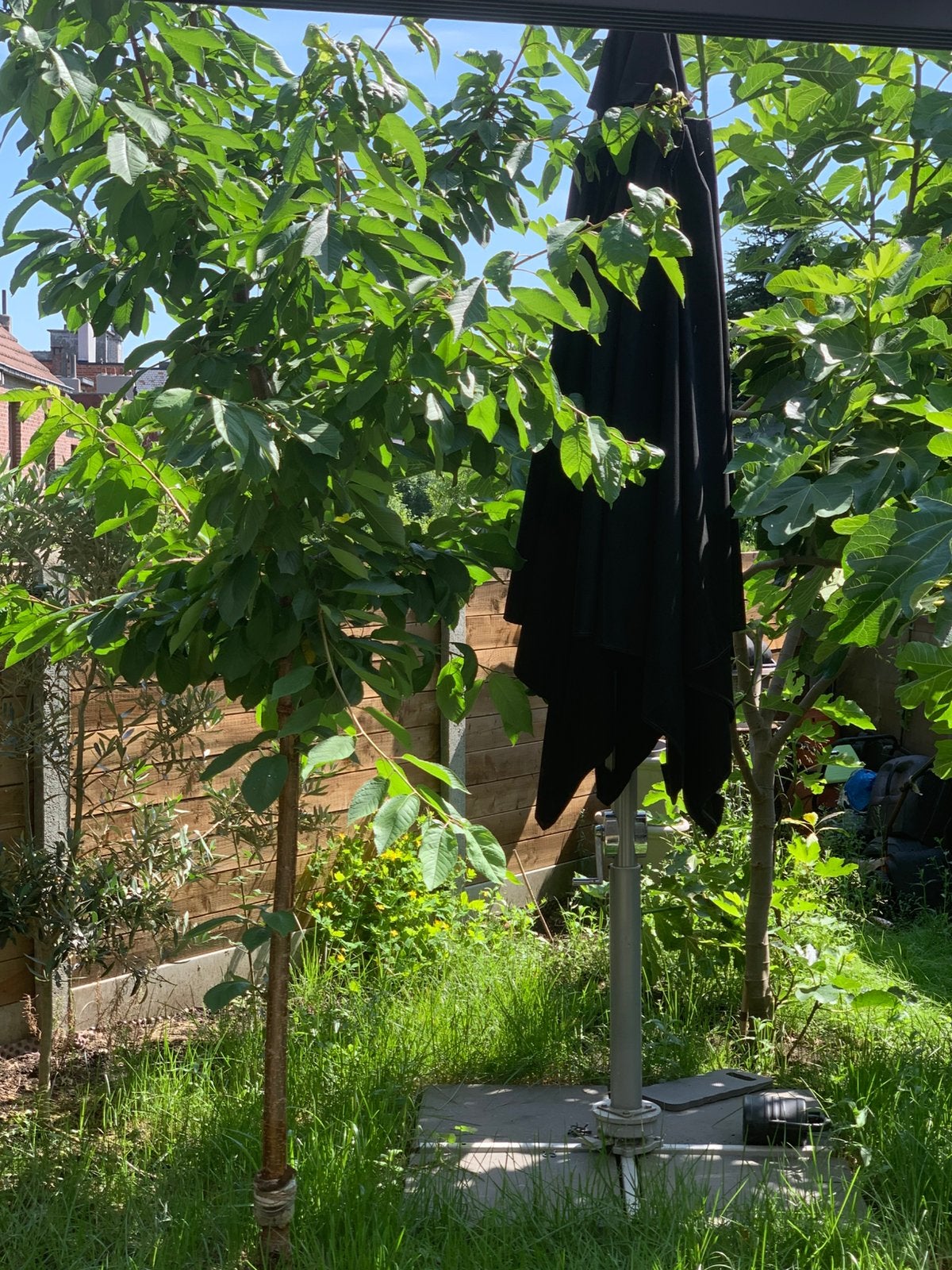 Parasol BOREK + sa protection, Enlèvement