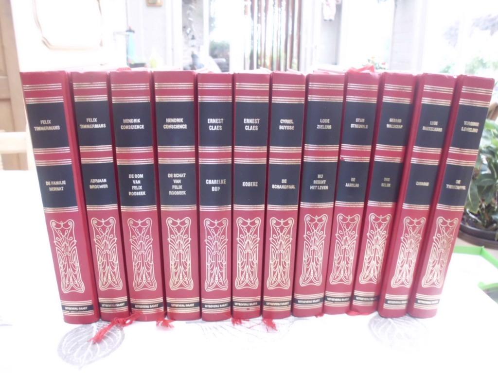 Vlaamse literatuurreeks, Boeken, Ophalen of Verzenden, Nieuw, België