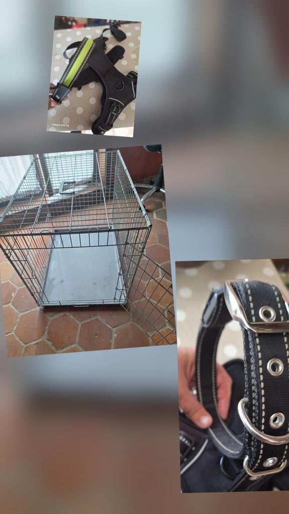 Hondenbench + halsband + harnas, Animaux & Accessoires, Enlèvement