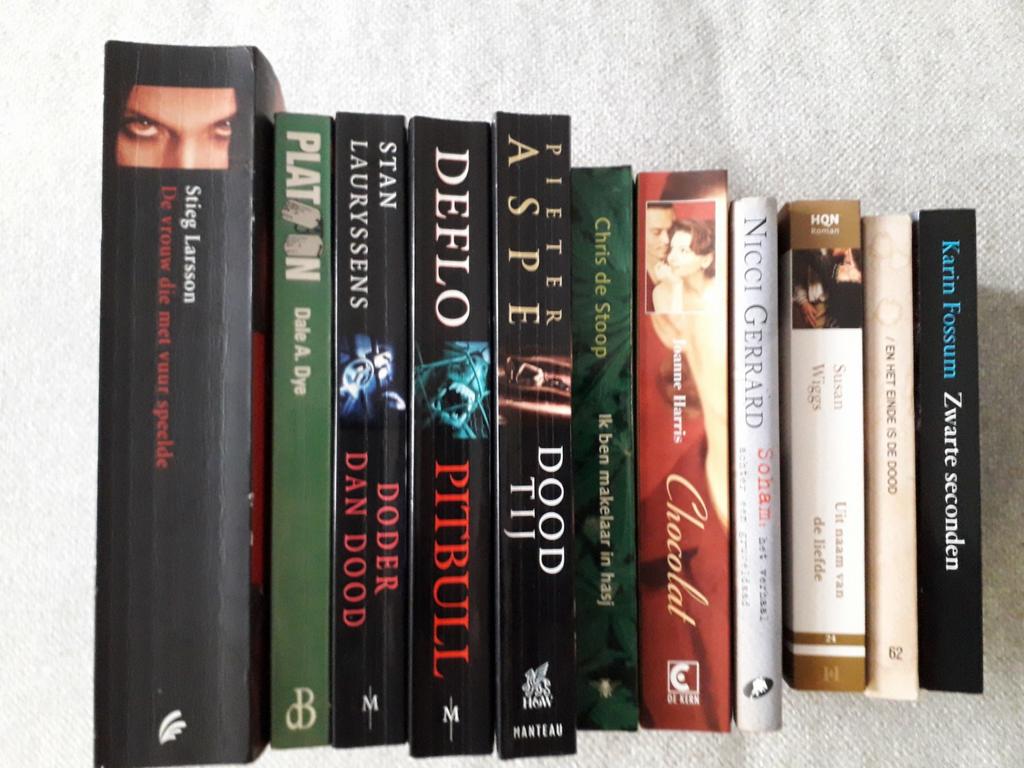 Bundel van 11 boeken : thrillers en romans, Boeken, Ophalen of Verzenden, Zo goed als nieuw