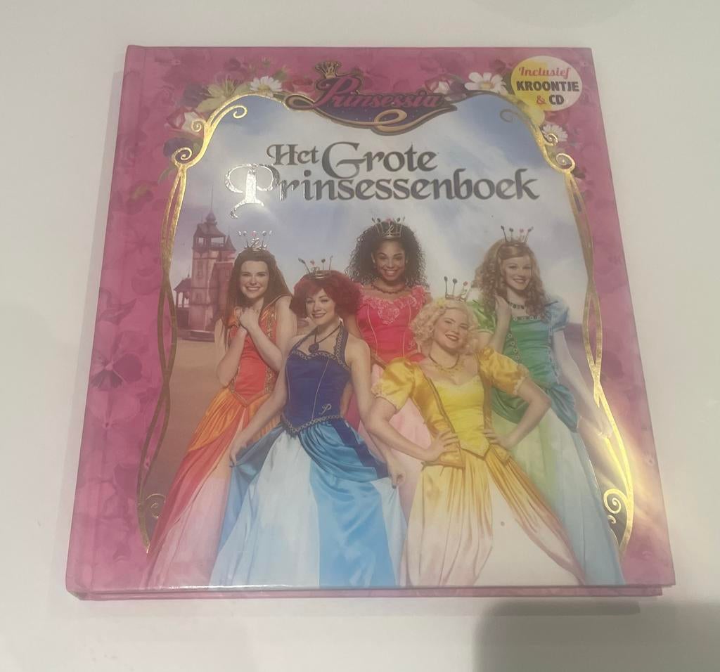 Prinsessia. Het grote prinsessenboek en spiegeltje, Gert Verhulst, Fiction général, Comme neuf, Enlèvement